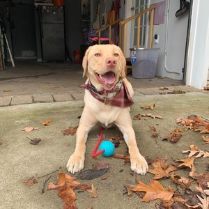 Meet your Posher, Anna